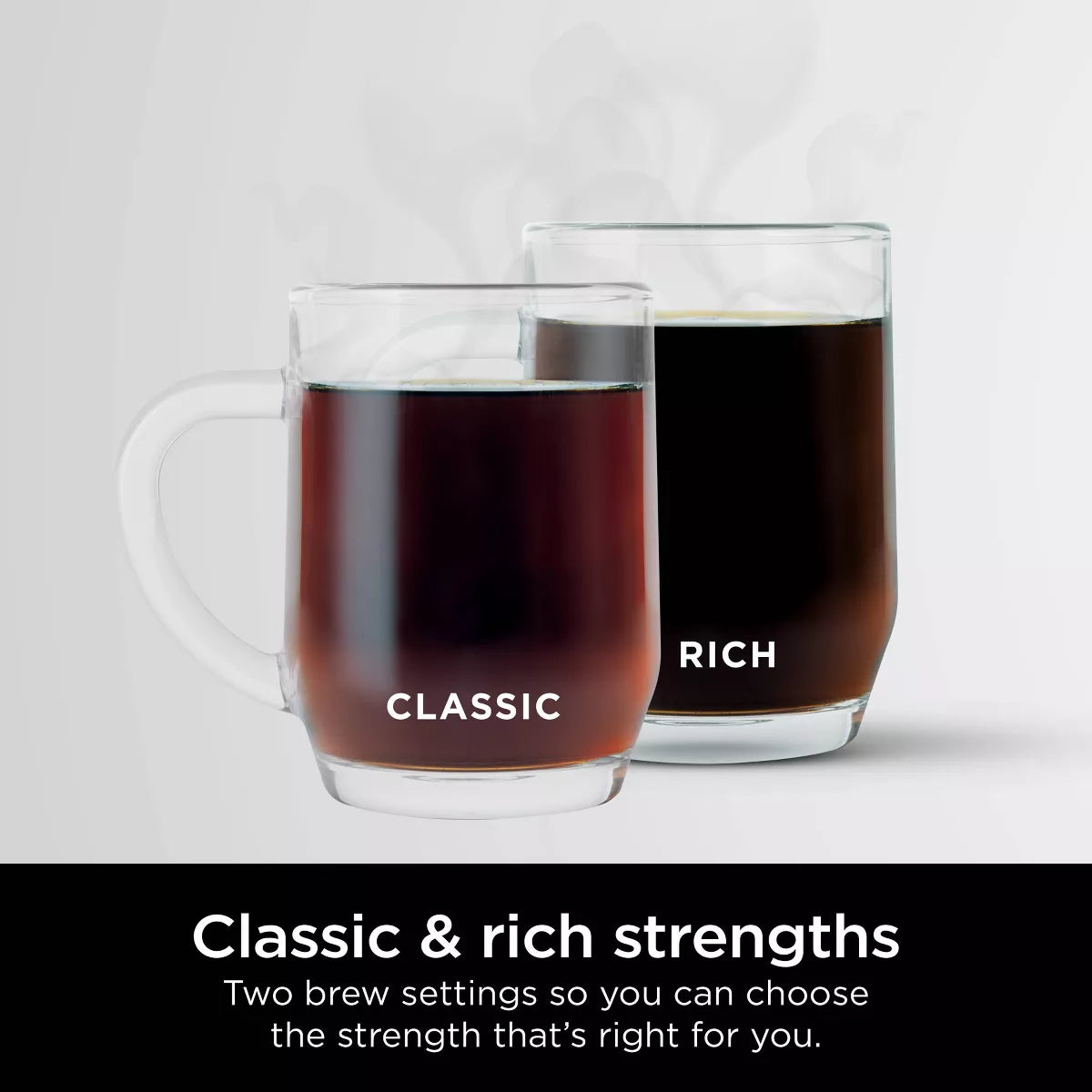 Ninja 12 Cup Programmable Brewer - CE251